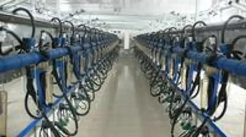 Commercial Automatic Milking Parlor Machine, 500-2000 Lts per hr